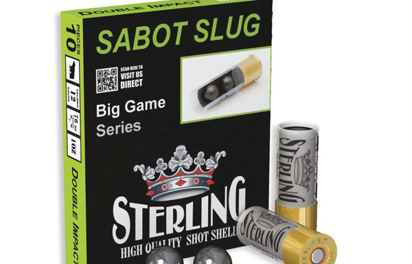 SABOT SLUG