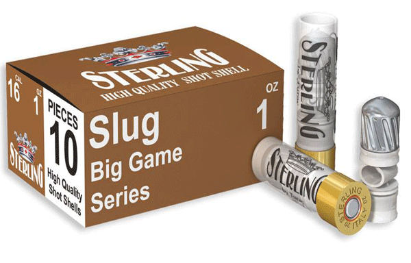 SLUG 16 CAL