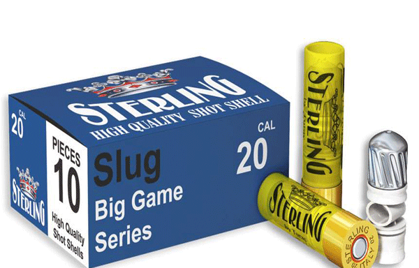 SLUG 20 CAL