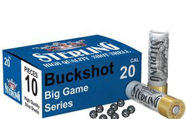 BUCKSHOT 20 CAL